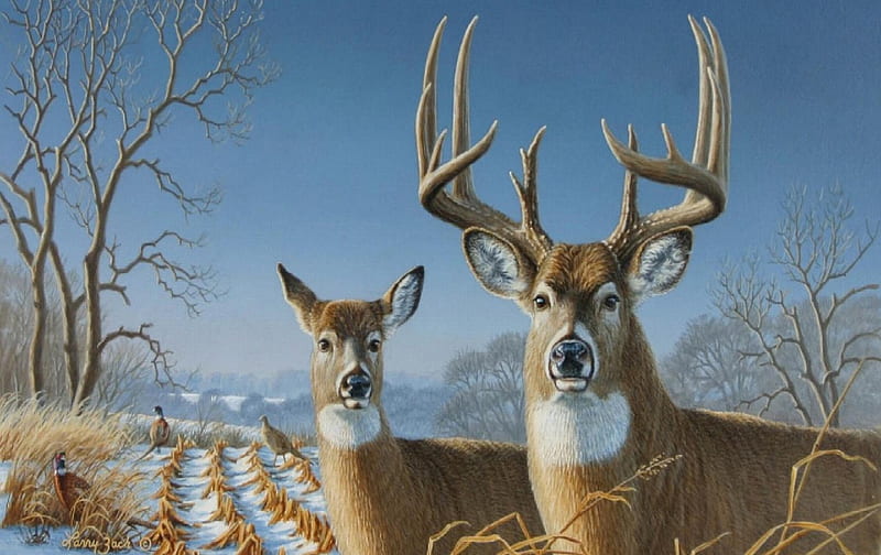 monster deer wallpaper