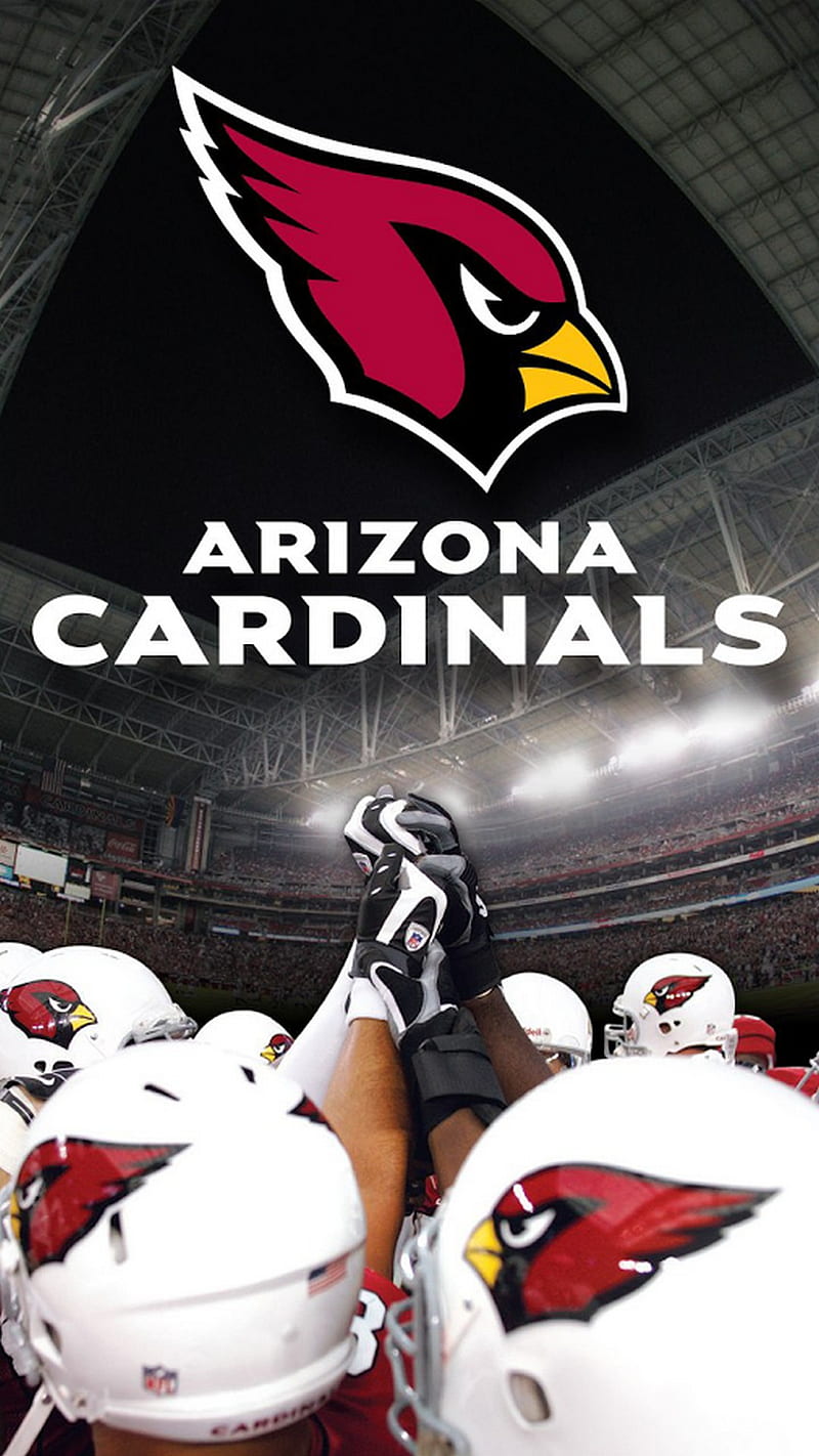 Arizona Cardinals, nfl, football, HD