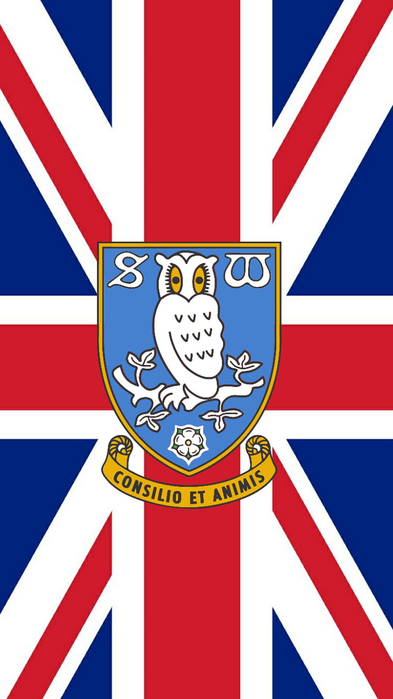 Sheffield Wednesday, british, flag, football, football club, sheff wed, the owls, union jack, HD phone wallpaper