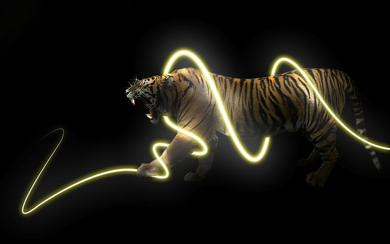 Light tiger, tigers, 3d, animals, light, HD wallpaper