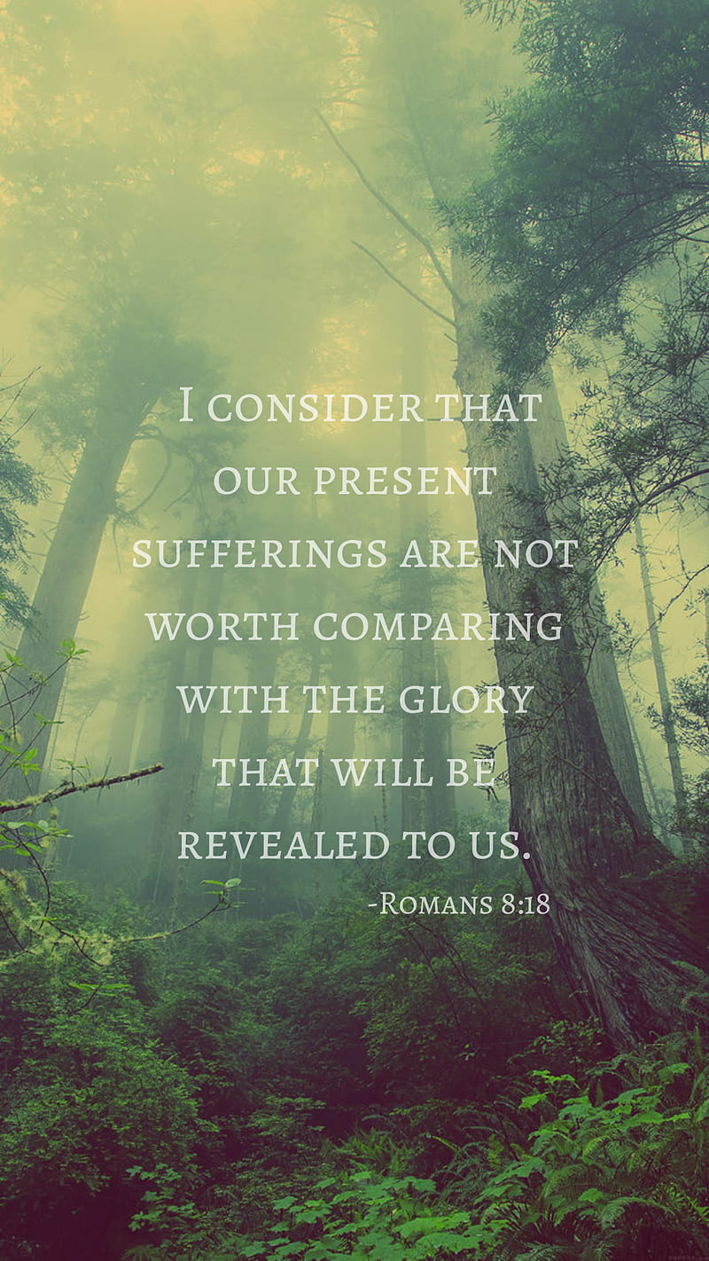 Future Glory, bible, forest, god, inspiration, jesus, quotes, suffering ...