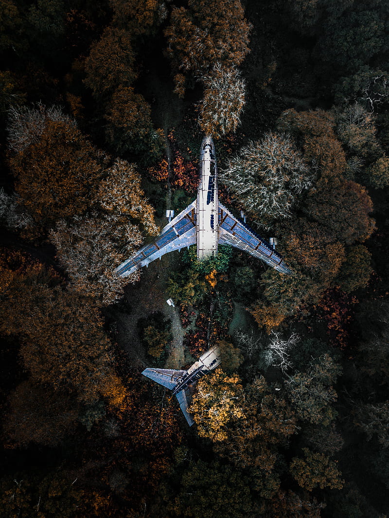 wrecked , Harsh, aerial, aircraft, airplane, crash, drone, forrest, plane, tree, HD phone wallpaper