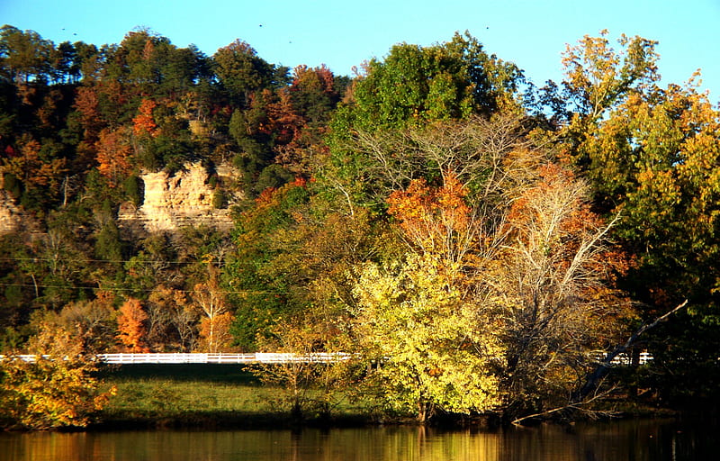 Cumberland River, fall, autumn, water, river, trees, HD wallpaper