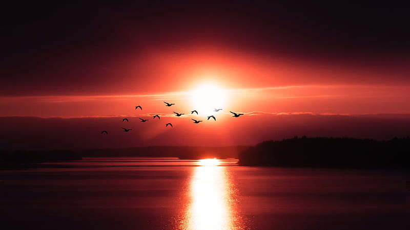 Birds Flying Over Body Of Water , birds, sunset, evening, dark, HD wallpaper