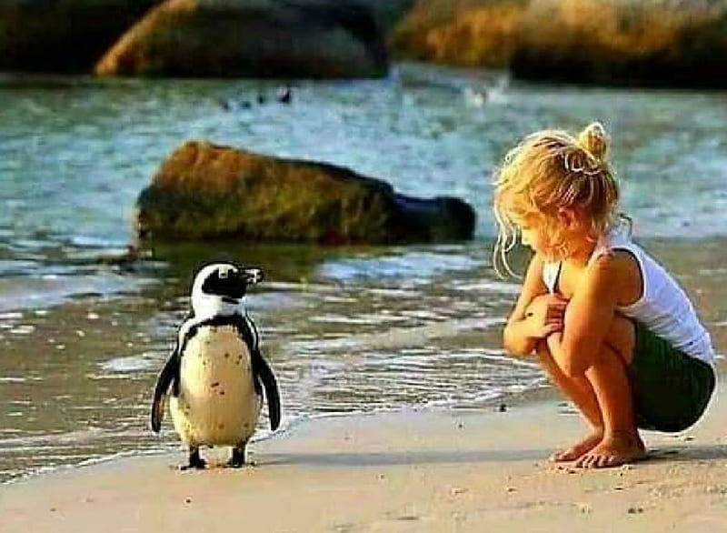 Girl and penguin, Girl, Penguin, Sea, Child, HD wallpaper