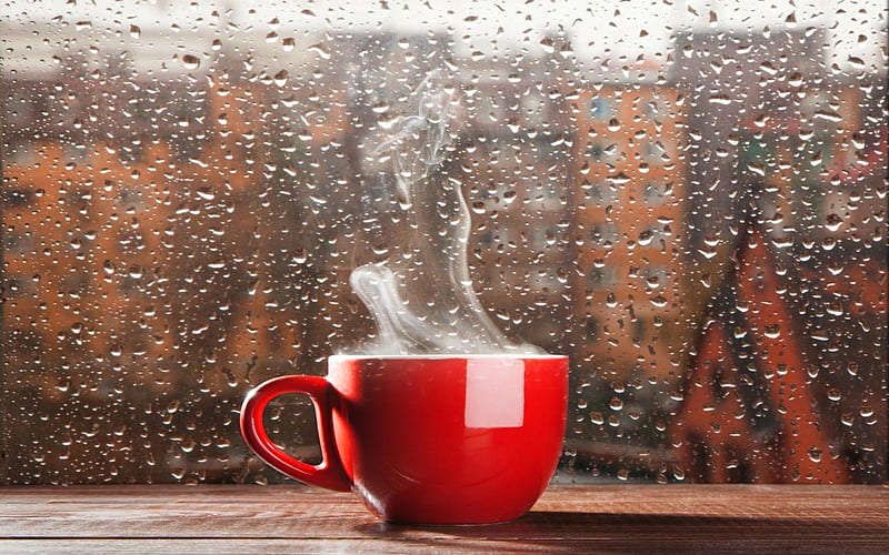 Rainy Day, window, houses, hot, cup, rain, HD wallpaper