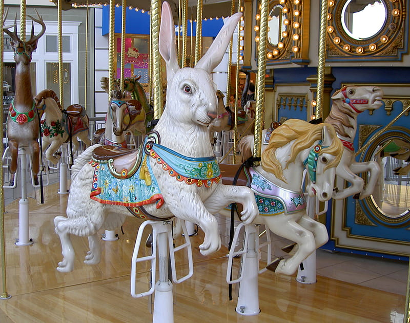 Carousel~Rabbit, rabbit, amusement park, carousel, ride, HD wallpaper