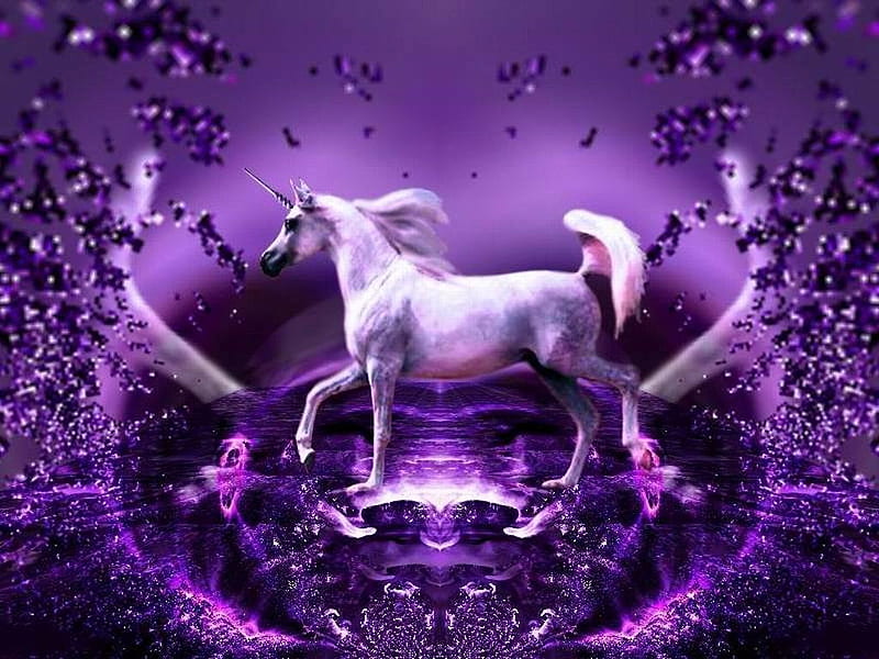 Purple Unicorn, water, fantasy, purple, unicorn, HD wallpaper