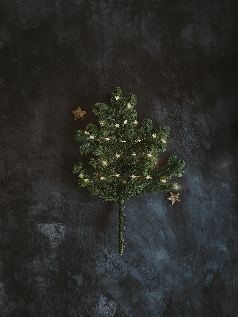 spruce, branch, garland, new year, christmas, HD phone wallpaper