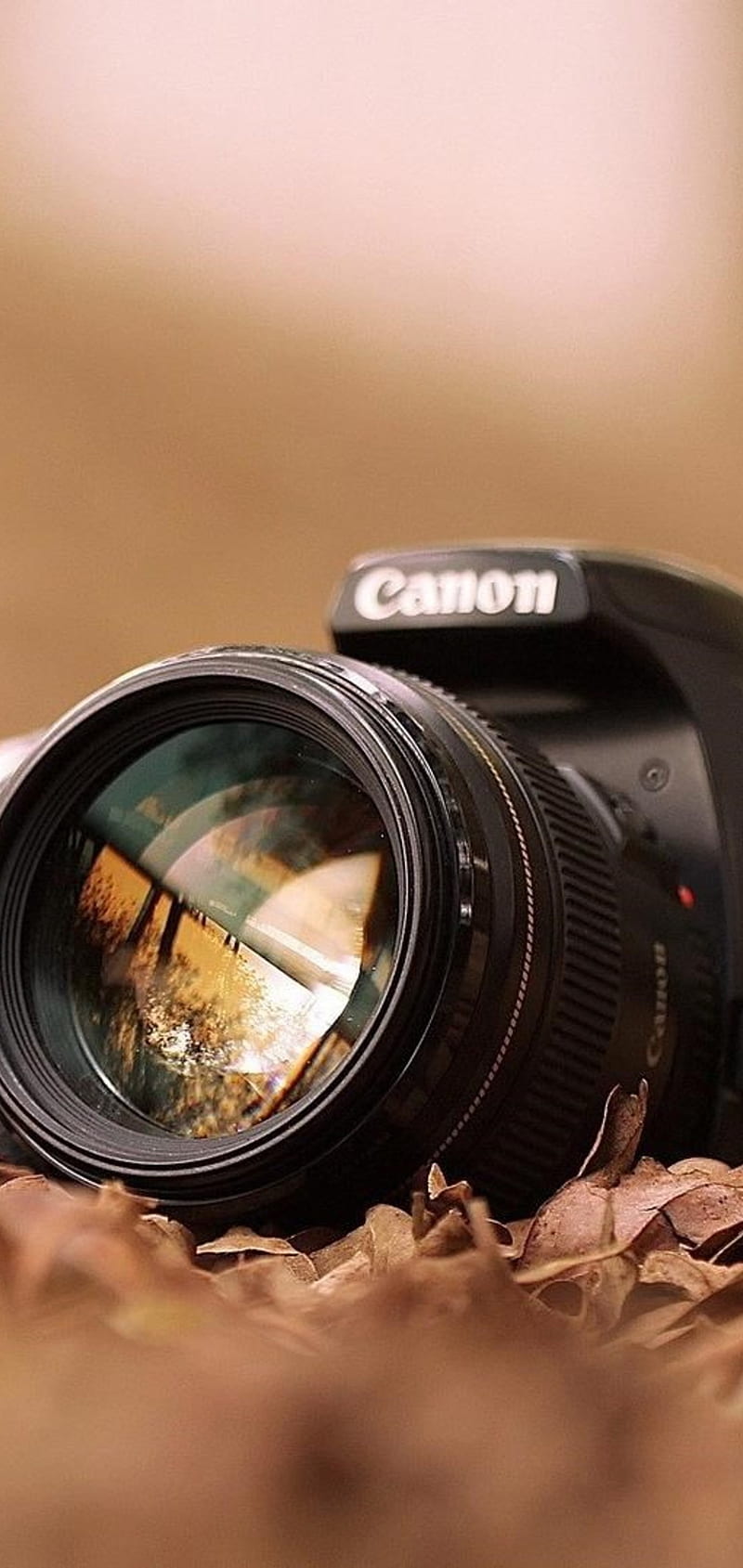Canon-3D, canon, camera, HD phone wallpaper | Peakpx