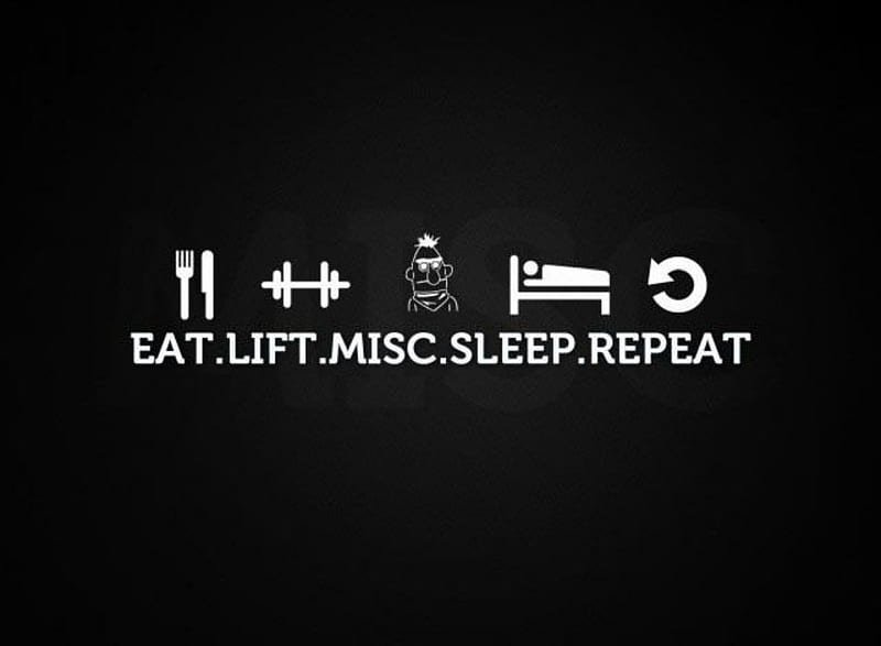 life, cool, eat, lift, misc, new, quote, repeat, saying, sign, sleep, HD wallpaper
