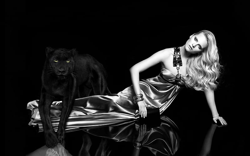 A black panther and a silver dress, graphy, dress, panther, woman, silver, balck and white, animal, HD wallpaper