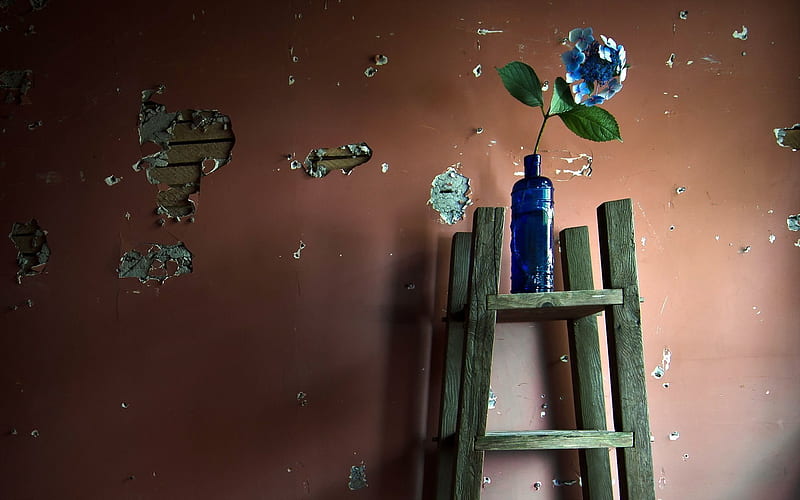 blue bottle, flowers, plaster, HD wallpaper