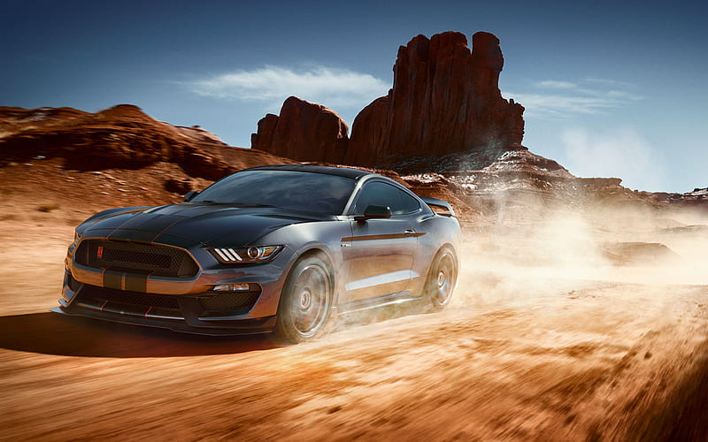 Ford Mustang Shelby GT350, dust, muscle cars, 2018 cars, Shelby, tuning, gray Mustang, american cars, Ford Mustang, Ford, HD wallpaper