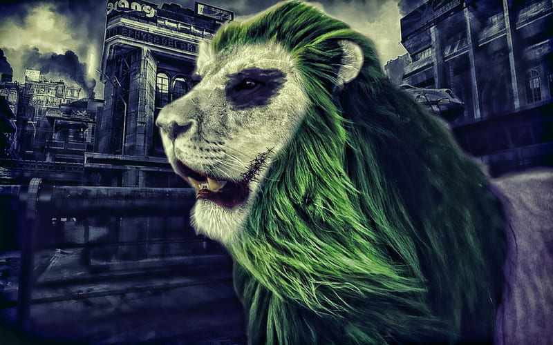 LION JOKER, PG, joker, lion, animals, HD wallpaper