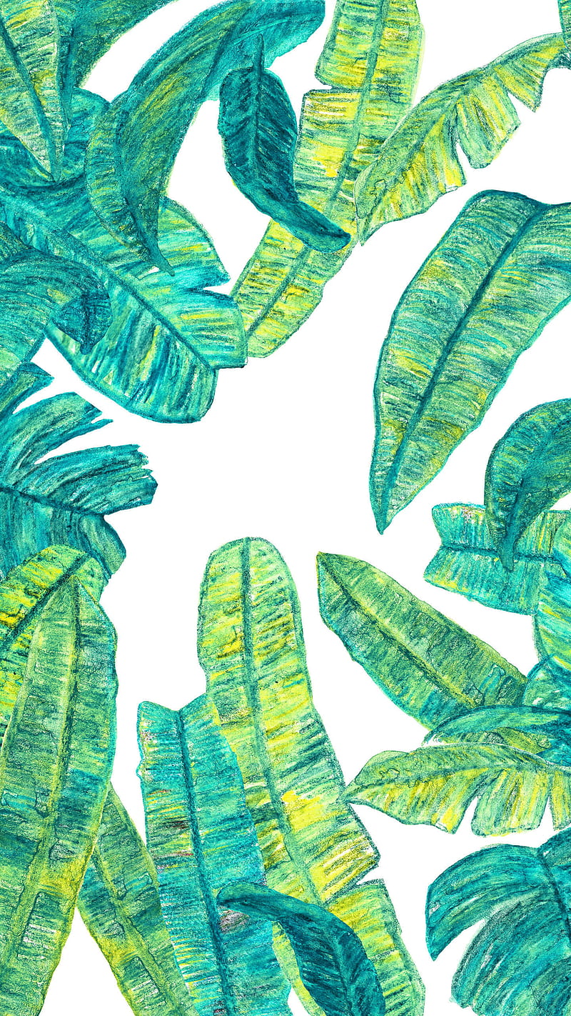 Leaf, banana leafes, green, leafes, summer, tropical, HD phone wallpaper