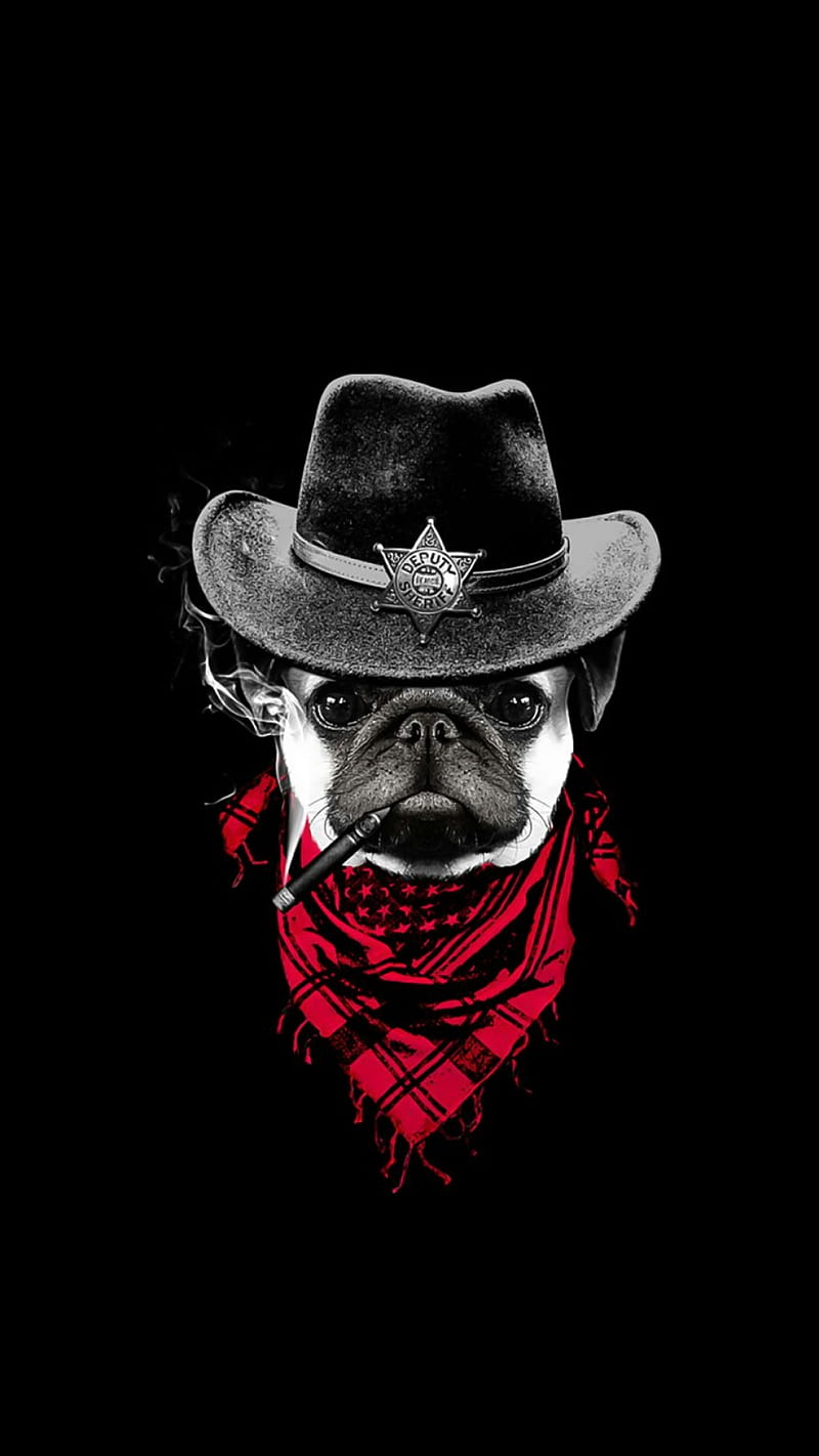 sheriff, black, bulldog, cowboy, dog, fun, smile, HD phone wallpaper