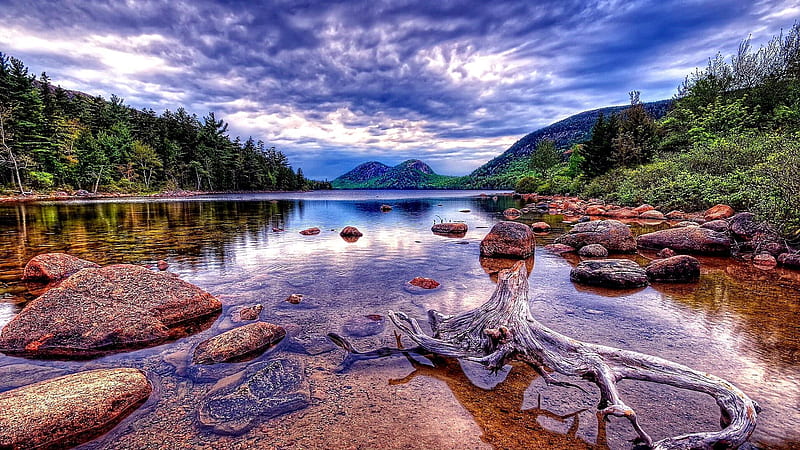 Acadia national park, Maine, water, stones, usa, river, trees, clouds, sky, HD wallpaper