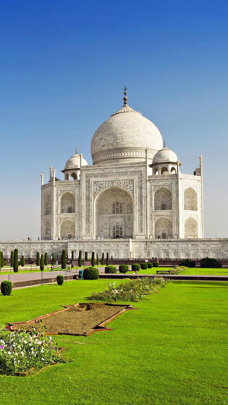 Taj Mahal With Green Grass, taj mahal, green grass, mausoleum, ivory white marble, monument, HD phone wallpaper