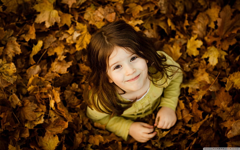 cute girl-Autumn Landscape, HD wallpaper