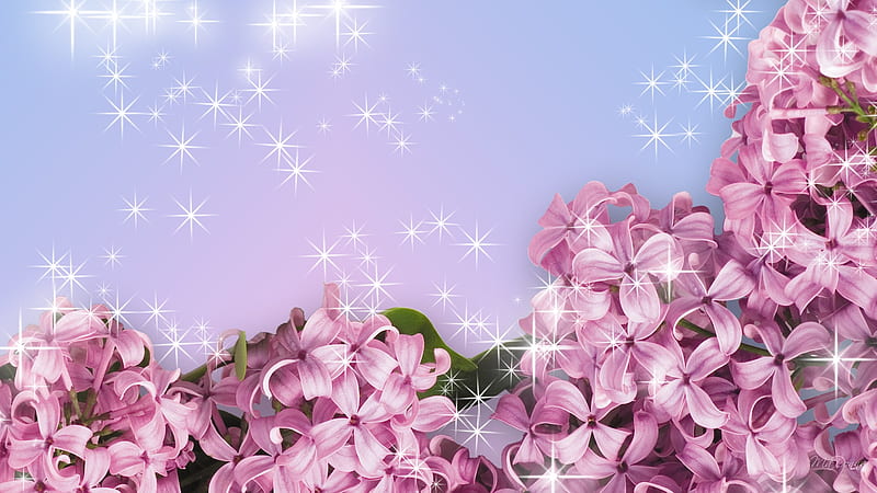 Fragrance of Lilacs, stars, flowers, firefox persona, spring, lilacs, pink, blue, sparkles, HD wallpaper