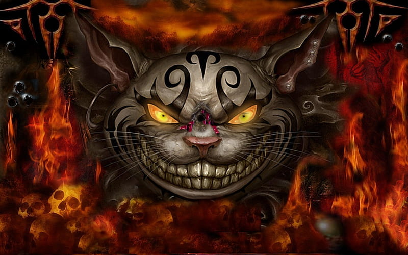 bad kitty, mystery, weird, cat, dark color, HD wallpaper bad kitty, mystery, weird, cat, dark color, HD wallpaper