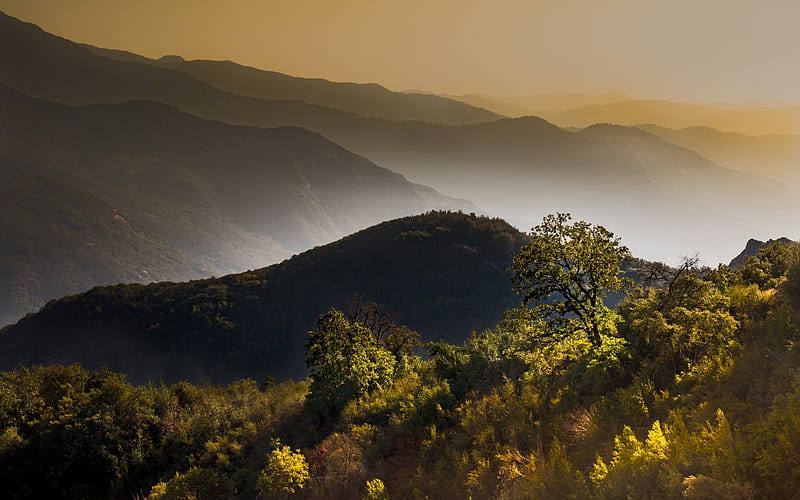 mountain landscape, forest, fog, morning, sunrise, mountains, HD wallpaper