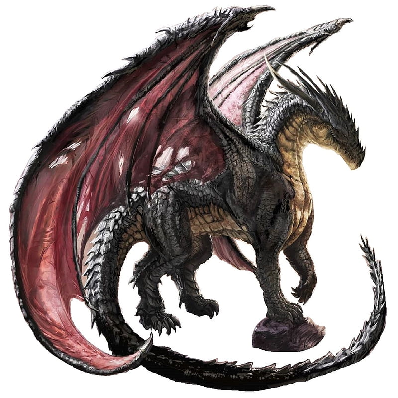 red dragon, ancient dragon, ancients, dragons, sorceress, HD phone wallpaper