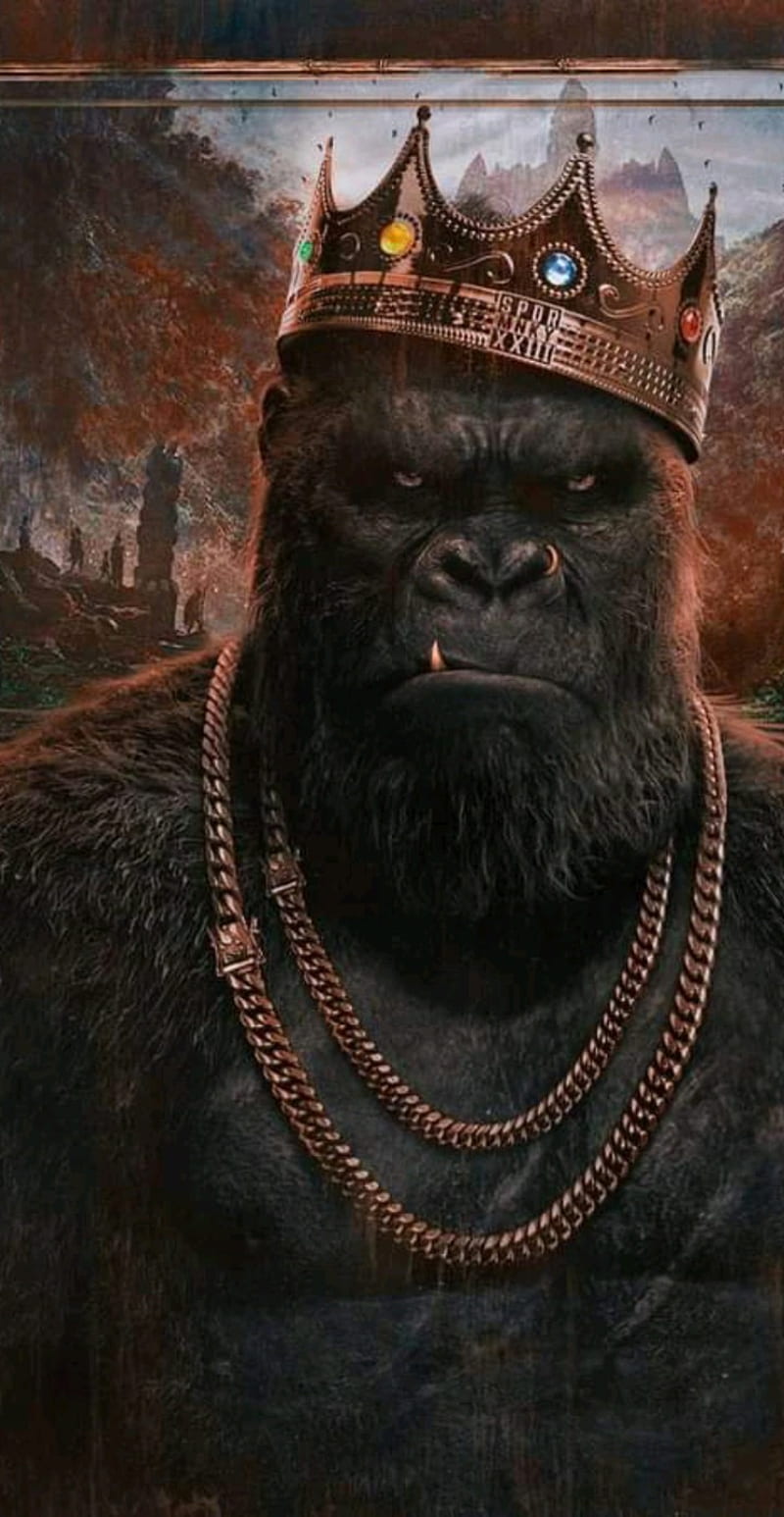 Kong, king, HD phone wallpaper