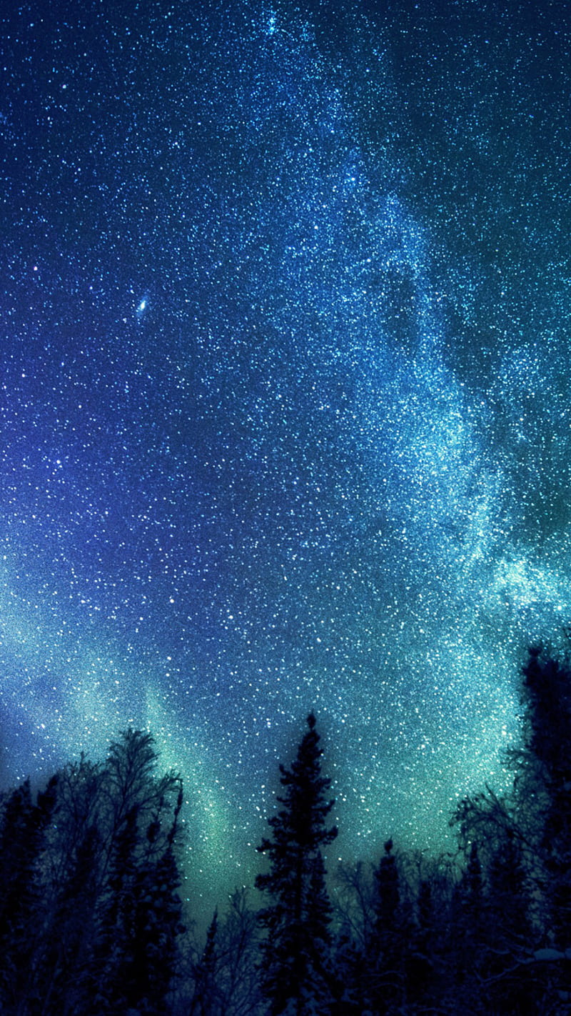 Sky, blue, forest, galaxy, space, stars, HD phone wallpaper