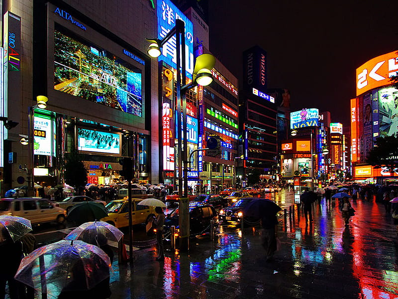 Shinjuku at Night, places, graphy, HD wallpaper