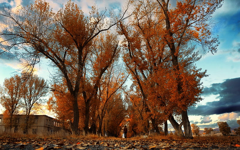 armenia gyumri-autumn of natural scenery, HD wallpaper