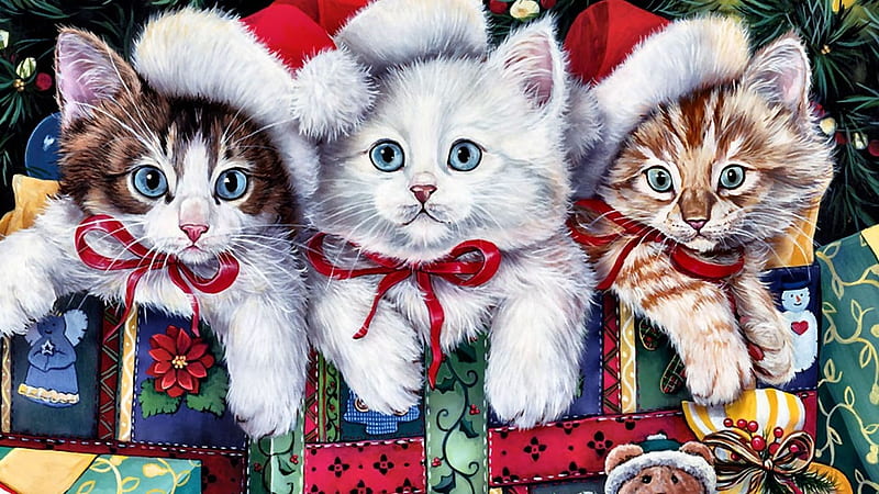 Cats Weihnachten, Familie, Geschenke, Cats, Deutschland, HD wallpaper