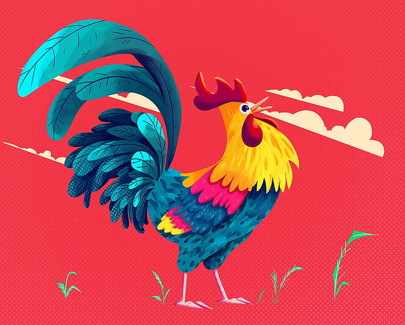 Rooster, red, bird, cocos, pasare, yellow, ahmet iltas, blue, fantasy, HD wallpaper