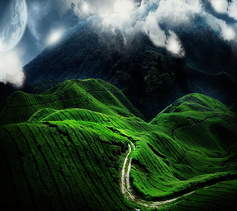 Green nature, rgarg, yygsd, HD wallpaper | Peakpx