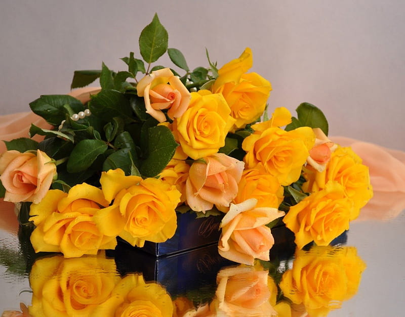 * Beautiful roses *, veil, roses, gift, still life, yellow roses, bouquet, water drops, flowers, petals, reflection, HD wallpaper