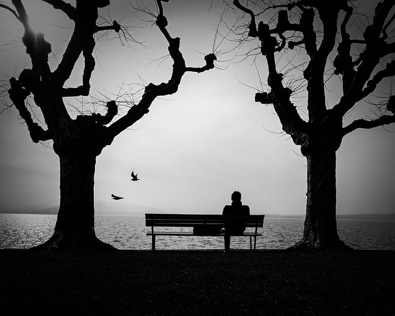 silhouette, bench, alone, bw, HD wallpaper