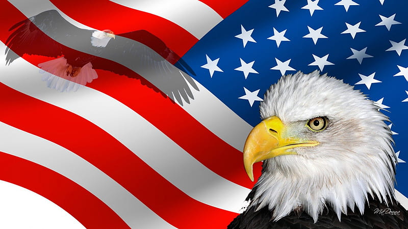 God Bless The USA, USA, Flag Day, Memorial Day, patriotic, eagle, red white and blue, America, flag, wave, United States, stars and stripes, bird, Independence Day, 4th of July, patriot, nation, HD wallpaper