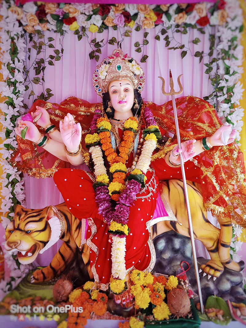 Durga maa, Devi maa, goddess, lord, HD phone wallpaper | Peakpx