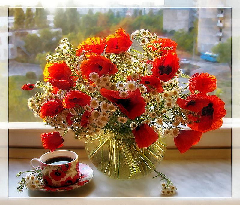 https://w0.peakpx.com/wallpaper/806/994/HD-wallpaper-a-perfect-pair-pretty-saucer-poppies-home-vase-beautiful-tea-still-life-flowers-morning-poppy-art-window-koffee-glass-vase-water-coffee-cup.jpg