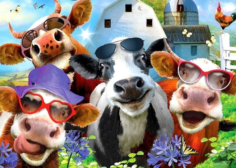 Selfie, animal, cow, fantasy, glasses, funny, HD wallpaper