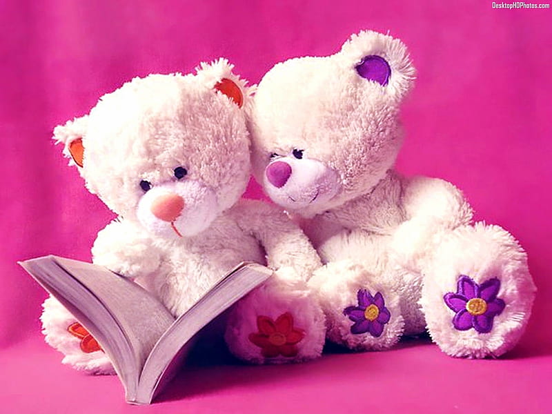 Cute teddies read a book, background, book, toy, soft, stuffies, abstract, stuffed, pink, light, HD wallpaper