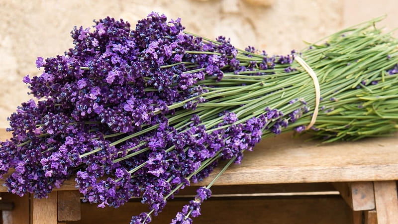 Lovely bunch, pretty, purple, flowers, nature, lavender, HD wallpaper