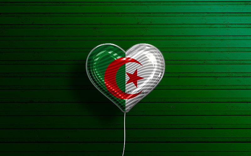 I Love Algeria realistic balloons, green wooden background, African countries, Algerian flag heart, favorite countries, flag of Algeria, balloon with flag, Algerian flag, Algeria, Love Algeria, HD wallpaper