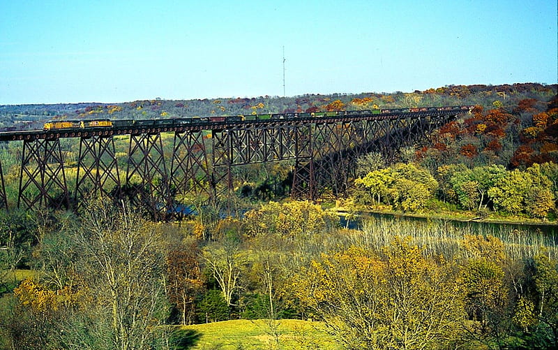 Railway Bridge, locomotive, train, nature, trees, carts, landscape, HD wallpaper
