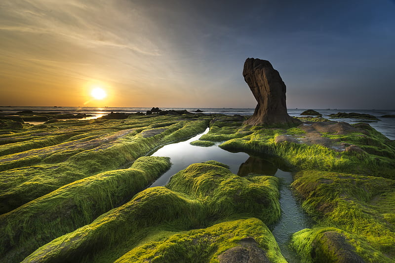 Earth, Coastline, Algae, Coast, Horizon, Rock, Sea, Seascape, Seaweed, Shore, Stone, Sun, Sunset, HD wallpaper