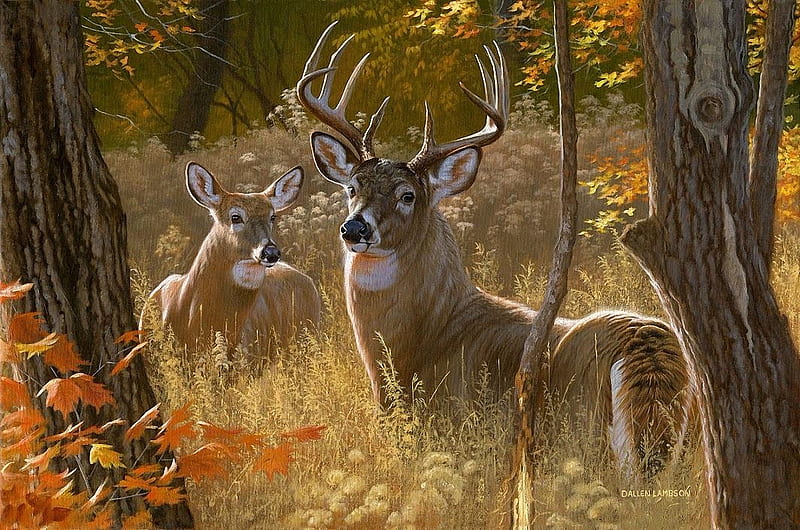 Secret Rendezvous, trees, deer, forest, autumn, leaves, painting, artwork, HD wallpaper