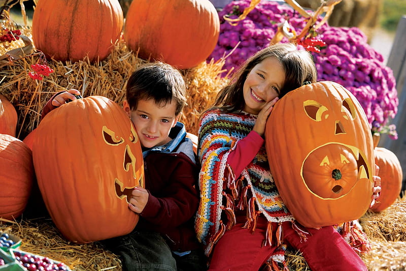 Happy Halloween!, copii, orange, halloween, dovleac, children, toamna, portocaliu, roz, girl, pumpkin, flower, flori, fori, pink, couple, HD wallpaper