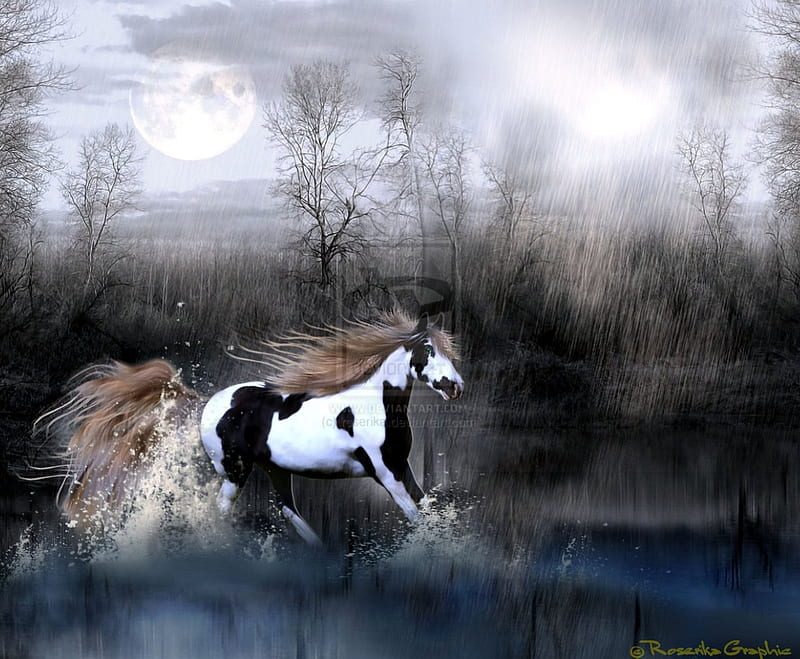 ~Struggle with the Rain~, wonderful, horsepower, horse in the rain, cheval, black and white, digital art, rains, manipulation, powers, animals, amazing, moons, struggle, creative pre-made, horses, plants, backgrounds, HD wallpaper