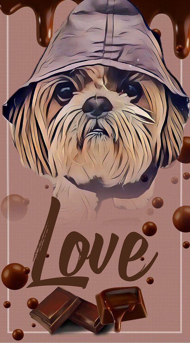Love dog, chien, love, HD phone wallpaper